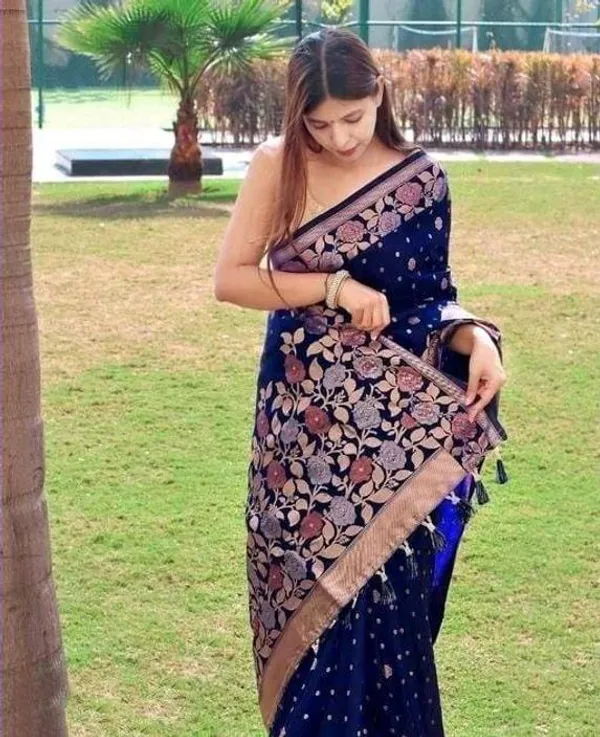 Dark_Blue_Embellished_Banarasi_Jacquard_Saree_(Dark_Blue)